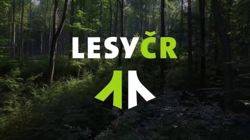 Oznámení o ukončení vydávání povolenek ke vjezdu na lesní cesty pro rybáře a zavedení nových pravidel pro výjimky